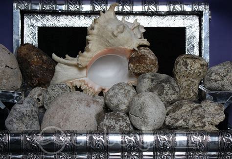 ambergris price per kilo